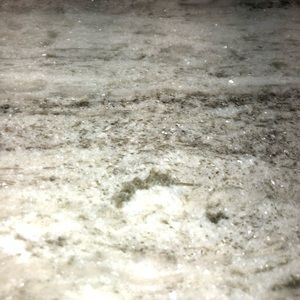 Meet your Posher, Lynne